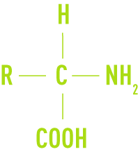 Formula: nutritrive substances -  amino acids