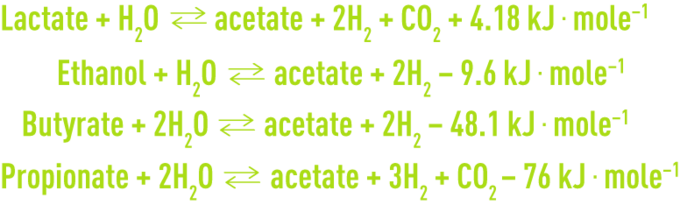 Formula :  Methanogenesis biochemistry microbiology - acetogenesis stage