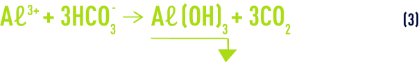 Formula: Aluminium salts - overall reaction