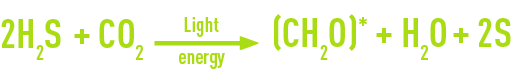Formula: formation of elementary sulphur