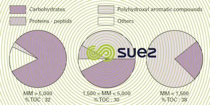 Organic carbon river Seine