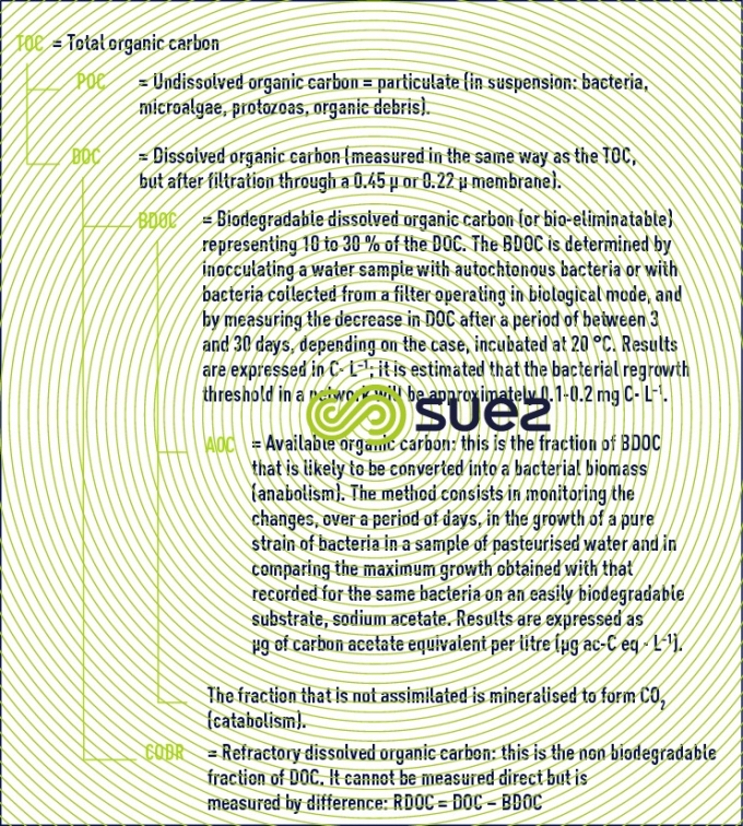 forms organic carbon 