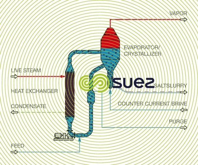 circulation crystallizer