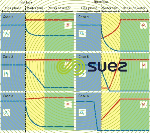Concentration profiles - vicinity interface ozonation reactor