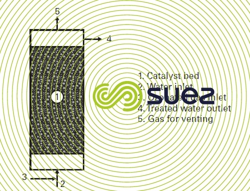 fixed bed Toccata reactor