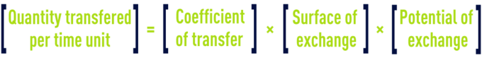 Formula: Modelling the ozone transfer
