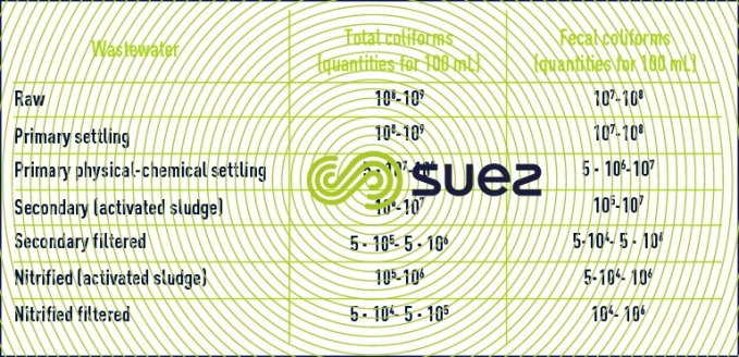 coliform municipal wastewater 