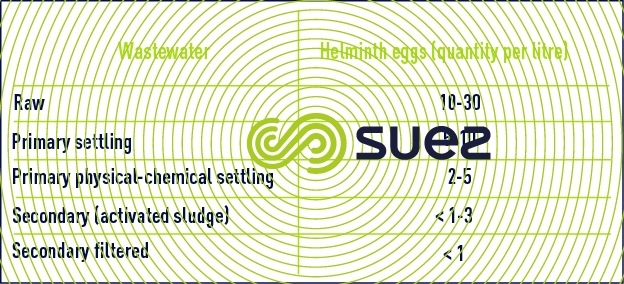 Helminth egg  municipal wastewater